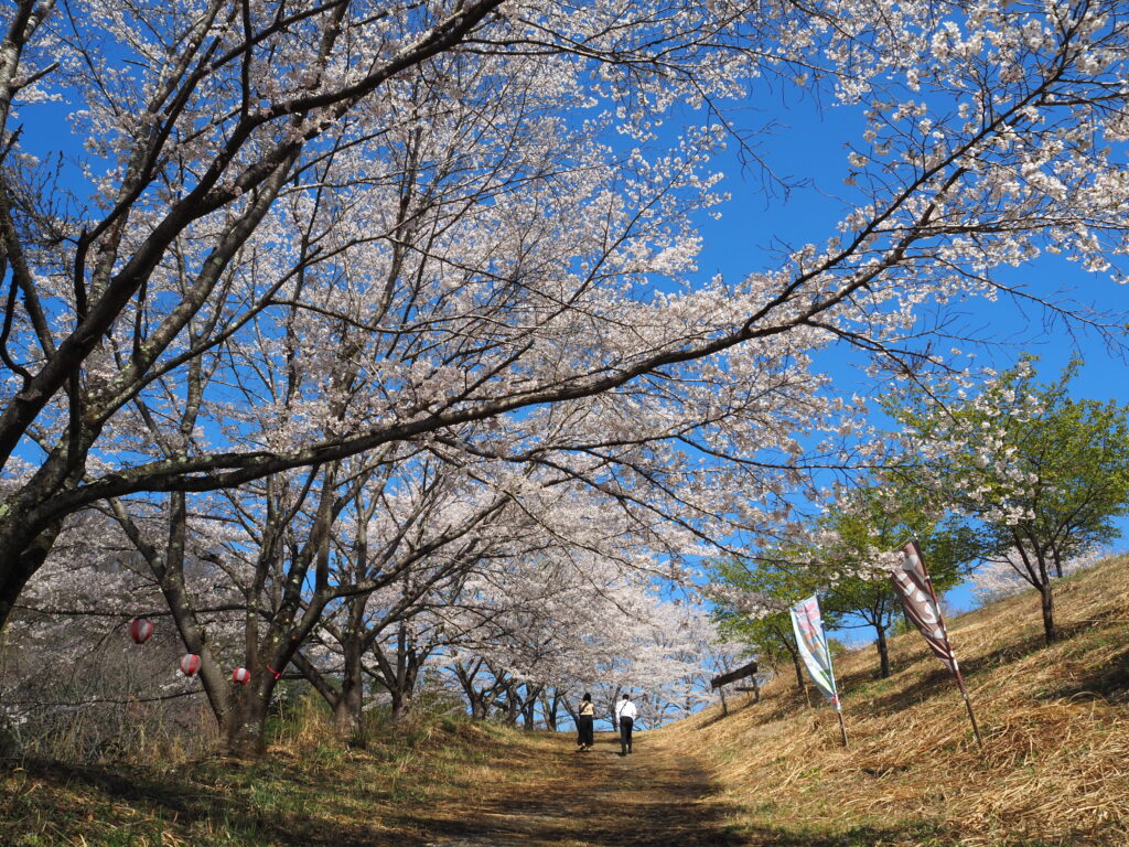 虎山の入口入ってすぐの上り坂